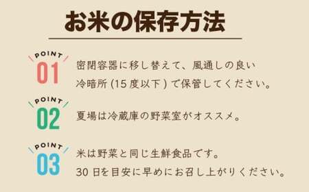 【3ヶ月連続定期便】令和7年産 夢つくし 無洗米 10kg〔5kg×2袋〕×3ヶ月 [M922-2] ごはん コメ ご飯 精米 白米 ブランド米
