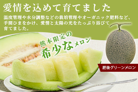 【2027年4月中旬～発送 先行予約】肥後グリーンメロン 2～4玉(合計約4kg) メロン フルーツ 果物 108-0502