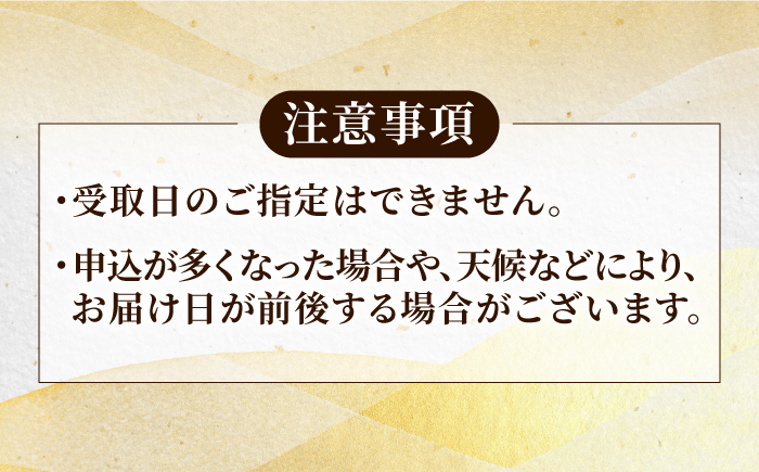 【全3回定期便】【五島列島産 幻の高級魚！】 クエ 鍋セット 4人前【豊建設株式会社】 [RAE012]