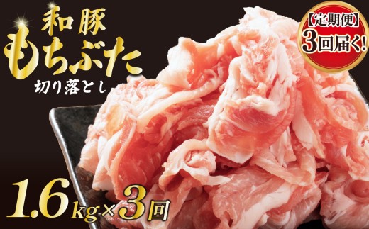 【定期便】 豚肉 切り落とし 和豚 もちぶた 小間切れ 1.6kg ×3回 ブランド豚 和豚もちぶた ブランド 美味しい豚 豚肉 肉 にく 肉料理 夕食 晩ごはん ポーク おかず 小分け 便利 肉の片山 新潟県 新発田市 katayama011