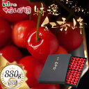 【ふるさと納税】【令和7年産先行予約】【贈答用】さくらんぼ「紅秀峰」 88粒 いまいのさくらんぼ園 K-7111