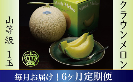 メロン 定期便 6ヶ月 山等級 1玉 フルーツ 果物 メロン