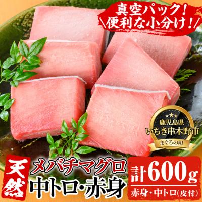 ふるさと納税 いちき串木野市 天然 メバチマグロ 600g(中トロ 100g×2 赤身 100g×4)