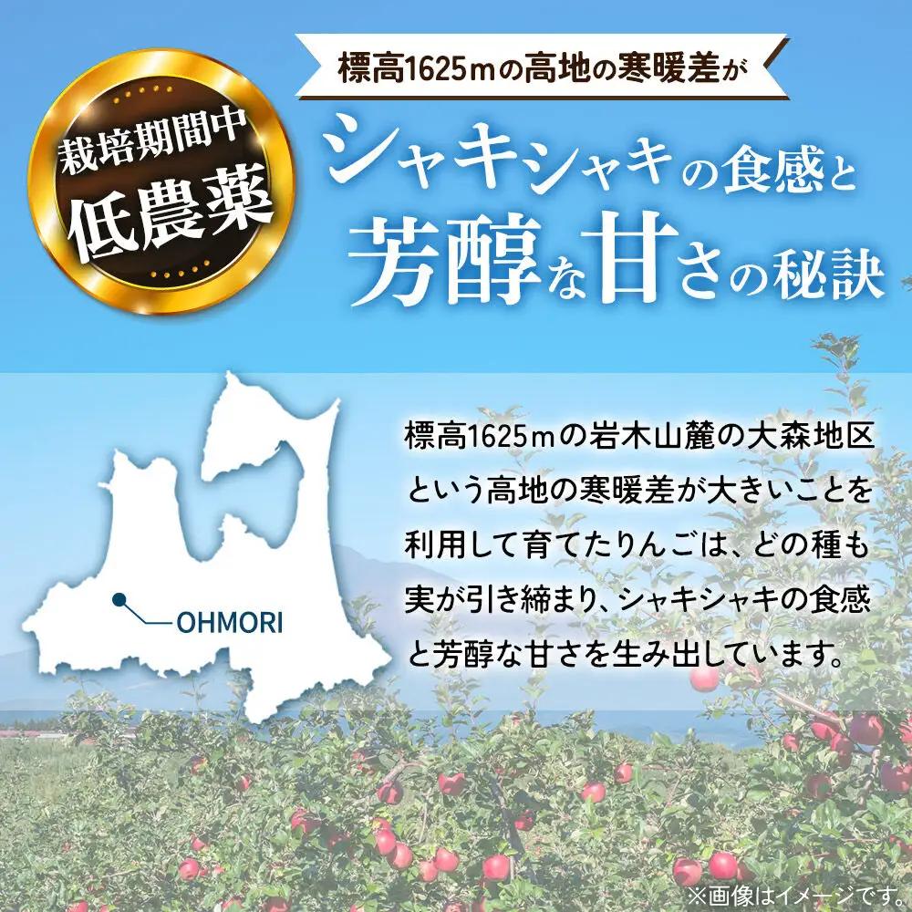 【26年10月発送】りんご ひろさきふじ 葉とらず【上級品】約5kg 贈答用 青森県 弘前市 果物 フルーツ 林檎 リンゴ くだもの ギフト 贈り物