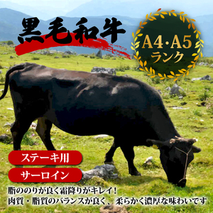 牛肉 ステーキ サーロイン 220g×2枚 特選 サーロイン肉 土佐黒毛和牛 Ａ５～Ａ４ 等級 冷凍 高知県 須崎市