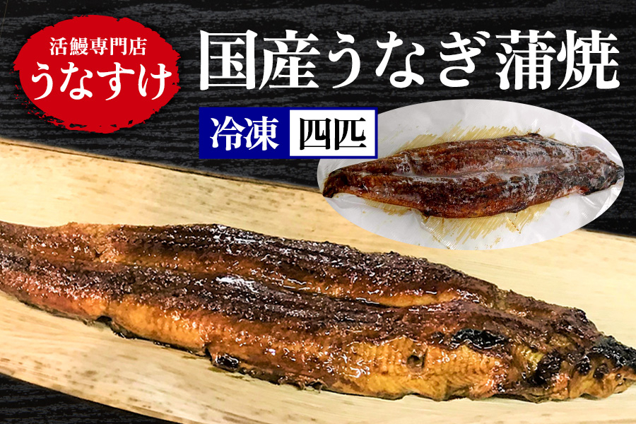 
                  [冷凍] 国産うなぎ蒲焼 (4匹) [0923]
                