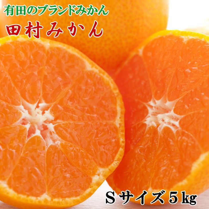 【ふるさと納税】【限定】 【2025年先行予約】 【ブランドみかん】 田村みかん 5kg (Sサイズ・秀品) 【ミカン 蜜柑 柑橘 温州みかん 有田みかん 高級みかん】