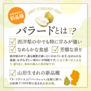 【2026年産】 西洋梨 バラード 2kg 秀品 化粧箱入り 山形県 東根市 東根農産センター提供 hi027-190-r8 （バラード 洋梨 洋ナシ フルーツ 果物 くだもの 産地直送 期間限定 特