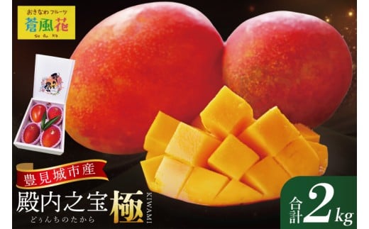 【2026年7月より順次発送】豊見城産マンゴー『殿内之宝(どぅんちのたから)・極』約2kg｜マンゴー フルーツ 果物 くだもの 先行予約 完熟マンゴー 沖縄フルーツ おきなわ 沖縄 沖縄県 豊見城市(DR003)