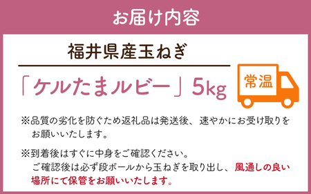 【先行予約】福井県産玉ねぎ　ケルたまルビー　5kg【2024年7月上旬より順次発送】[Y-086002]