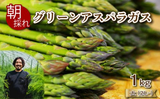 【 先行予約 】 アスパラガス 1kg 太サイズ 朝採れ 2L~ 大容量 アスパラ 有機肥料使用 サイズ混合 訳あり セット 野菜 新鮮 夕飯 おかず お弁当 新鮮アスパラ 秀吉農園 菊川町 下関 山口 【2026年6月より発送】