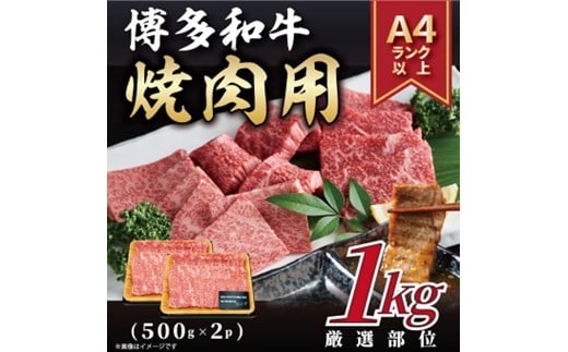 
            BB034.【A4～A5】博多和牛焼肉用約1kg（500g×2p）【博多和牛】
          