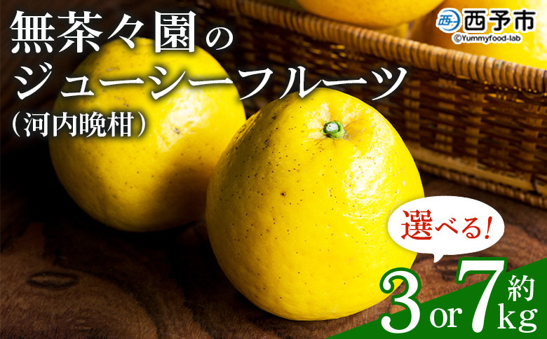 
            無茶々園のジューシーフルーツ（河内晩柑）約3kg／7kg　果物 フルーツ 選べる内容量 かわちばんかん みかん ミカン 蜜柑 柑橘 期間限定 季節限定 食べて応援 特産品 愛媛県 西予市 【常温】
          