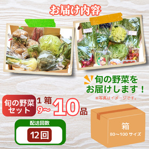 野菜 セット 9～10品 定期便 12回 季節 旬 野菜 詰め合せ 国産 おまかせ 産地直送 