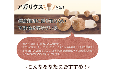 梅香るアガリクスエキス　32本入り　ドリンク キノコ 茸 きのこ セット 健康加工食品 飲料