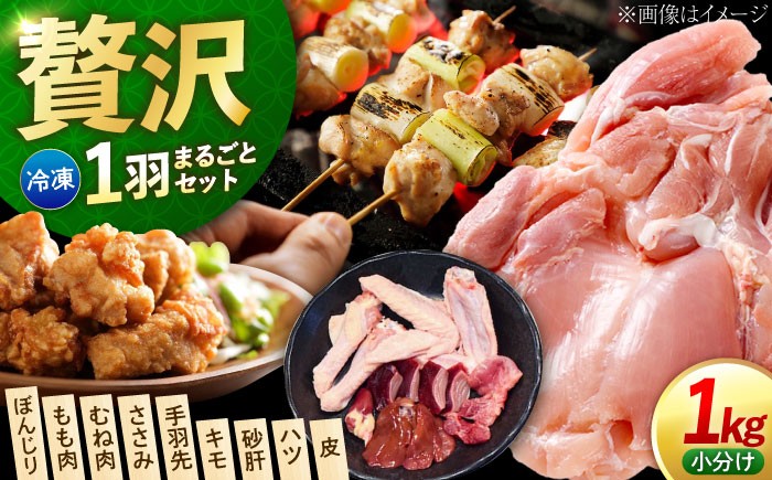 
                  鶏肉 一黒シャモ 1羽まるごと 約1kg 冷凍 江田島市／ポーク＆チキン江田島 [XAH004]｜鶏肉 とり肉 地鶏 シャモ 軍鶏 冷凍 加熱用 国産 軍鶏肉 蒸し鶏 焼き鳥 BBQ 江田島 広島 人気 おすすめ お取り寄せ グルメ
                