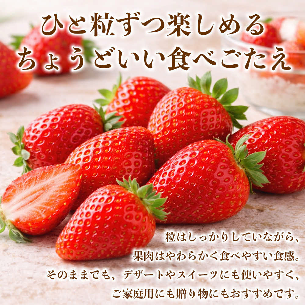 【先行予約】 いちご 約1kg（約250g×4パック） イチゴ 苺 果物 くだもの フルーツ 旬 ジャム スムージー スイーツ 熊本県 八代市 【2027年1月上旬より順次発送】_イメージ3