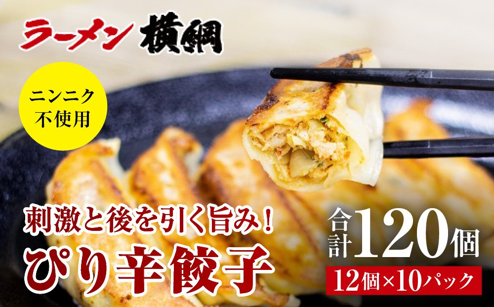 
                  【ラーメン横綱】ニンニク不使用! ぴり辛餃子 10パック120個 京都  有名店 餃子 大人気セット［ 刺激と後を引く旨み 小分け ピリ辛 冷凍食品 大容量 おいしい 簡単 便利 おすすめ 中華 中華料理 お取り寄せ 通販 送料無料 ］
                