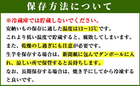 n083 ＜先行予約受付中！2024年9月中旬より順次発送予定＞種子島産 安納芋＜黄金＞(期間限定容量・11kg)国産 安納芋 黄金 こがね コガネ 種子島 芋 イモ いも さつまいも さつま芋 安納