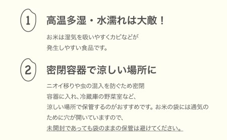新米 令和8年産 つや姫 無洗米 10kg ja-tsmxb10