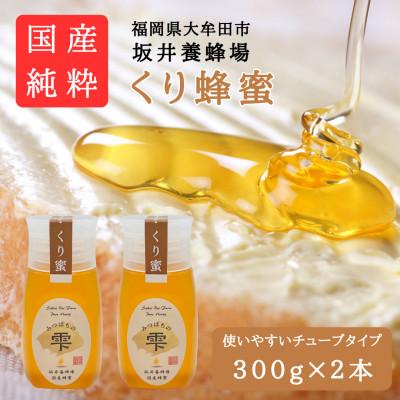 ふるさと納税 大牟田市 みつばちの雫　国産くり蜂蜜　300g×2