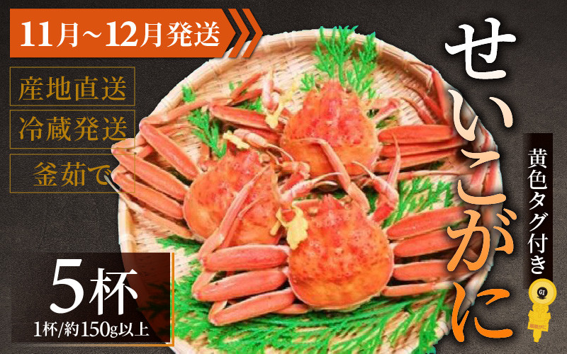 
            【先行予約】せいこがに 約150g以上×5杯【11月～12月発送】
          