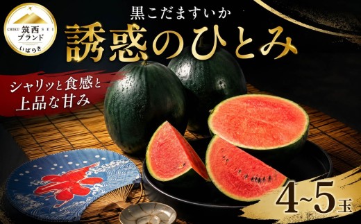 [2027年発送] すいか 小玉スイカ 4玉-5玉 誘惑のひとみ 黒小玉すいか 水分 果汁 たっぷり 数量限定 季節限定 初夏 人気 果物 フルーツ ギフト にも 産地直送 デザート おやつ 2027年産 JA 北つくば 関東 茨城 筑西