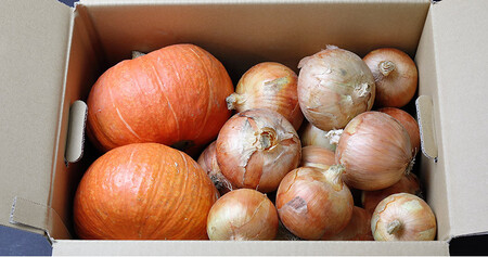 かぼちゃ(2玉)とたまねぎ(約5kg)のセット 橋枝物産　2026年9月中旬以降　順次発送