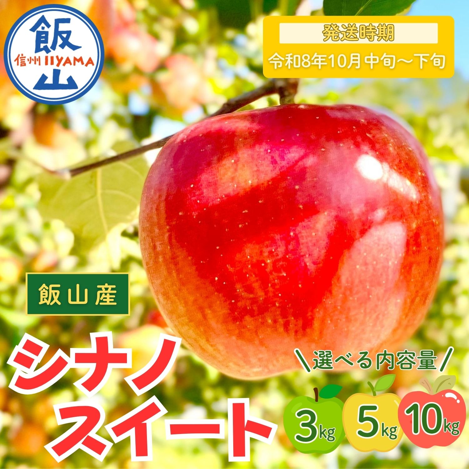 【ふるさと納税】2026年 先行予約 ＼ シナノスイート ／ 選べる 3kg / 5kg / 10kg ＜出荷開始：2026年10月中旬〜下旬頃＞ 【 りんご リンゴ 林檎 フルーツ 果物 信州 規格外 B品 産地直送 新鮮 オススメ 美味しい 甘い 長野県 飯山市 】(At)