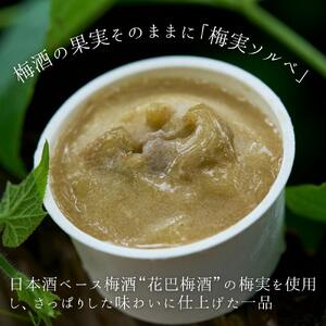 アイス 酒粕アイス＆梅実ソルベ 計6個 [BRAG022]