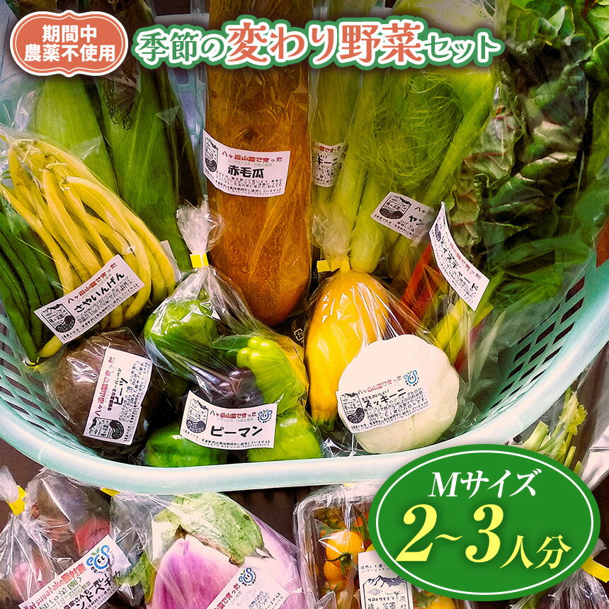 【ふるさと納税】【栽培期間中農薬不使用・無化学肥料・無家畜性肥料で育てた】 季節の 変わり野菜セット ( Mサイズ )【2026年7月下旬～発送】| 旬 野菜 珍しい 10種類 2～3人分 セット シードマイスター 農薬不使用 無化学肥料 無家畜性肥料 信州 八ヶ岳 長野県 諏訪郡 原村