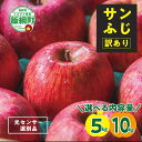 【ふるさと納税】 りんご サンふじ 5kg 10kg 訳あり 「 いいづな光選りんご 」 光センサー選果 2024年 令和6年 収穫分 くだもの フルーツ 交換保証 不揃い 規格外 傷 林檎 5キロ 10キロ 12000円 17000円 長野県 飯綱 R6年12月 から R7年1月発送 【令和6年度予約品】