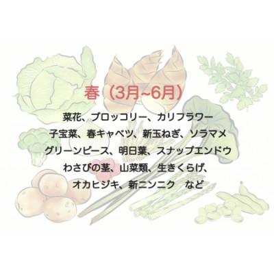 ふるさと納税 南伊豆町 湯の花　旬の野菜と果物セット |  | 01