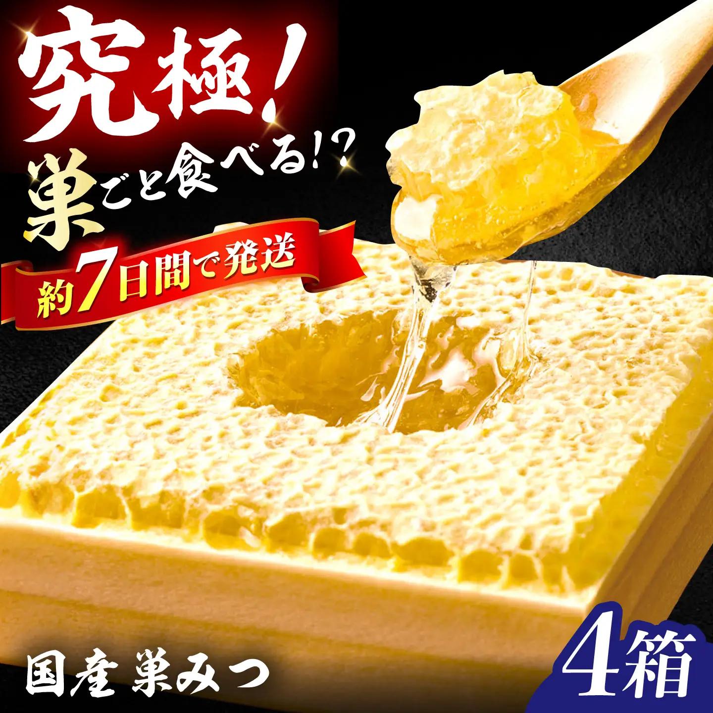 国産巣みつ 300g×4箱　広川町/株式会社九州蜂の子本舗[AFAI048]