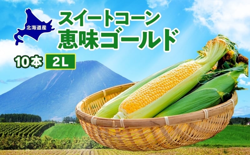 
            北海道産 スイート コーン めぐみゴールド 2Lサイズ 10本 先行受付 8月上旬～下旬頃お届け とうもろこし 恵味 めぐみ トウモロコシ 旬 完熟 朝もぎ 野菜 産地直送 お取り寄せ 北海道 丸田農園 洞爺湖
          