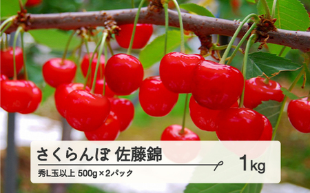 《先行予約》 山形県産 さくらんぼ 佐藤錦 バラパック詰 秀 Ｌ玉以上 1kg (500g×2) 2025年6月中旬から順次発送 果物 フルーツ nf-snbpx500x2
