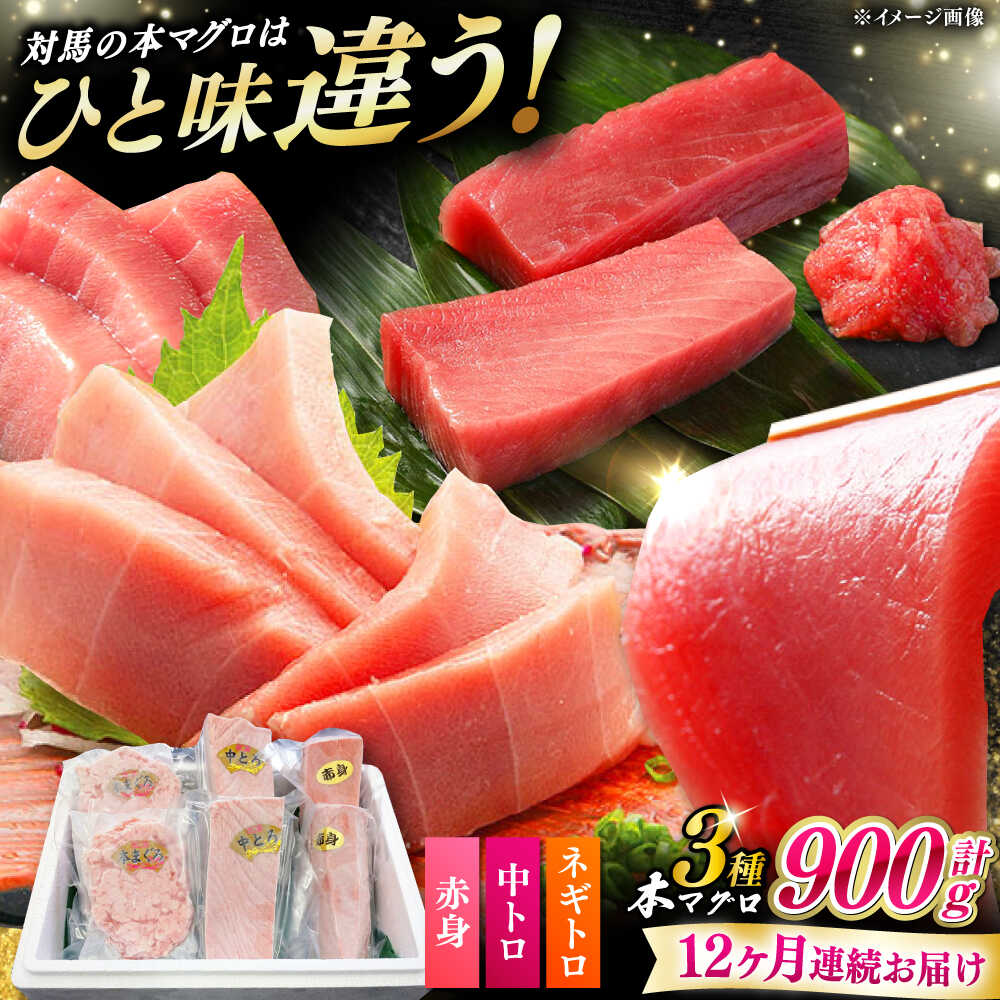 【ふるさと納税】【全12回定期便】 対馬産 本マグロ 3種 計900g（赤身/中トロ/ネギトロ）《対馬市》【対海】 冷凍配送 食べ比べ 贈り物 魚介類[WAH042]