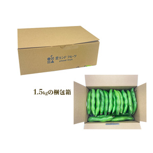 【先行予約】【4月下旬から発送】 ＜松山ブランド＞松山一寸そらまめ 1.5kg【FA099】