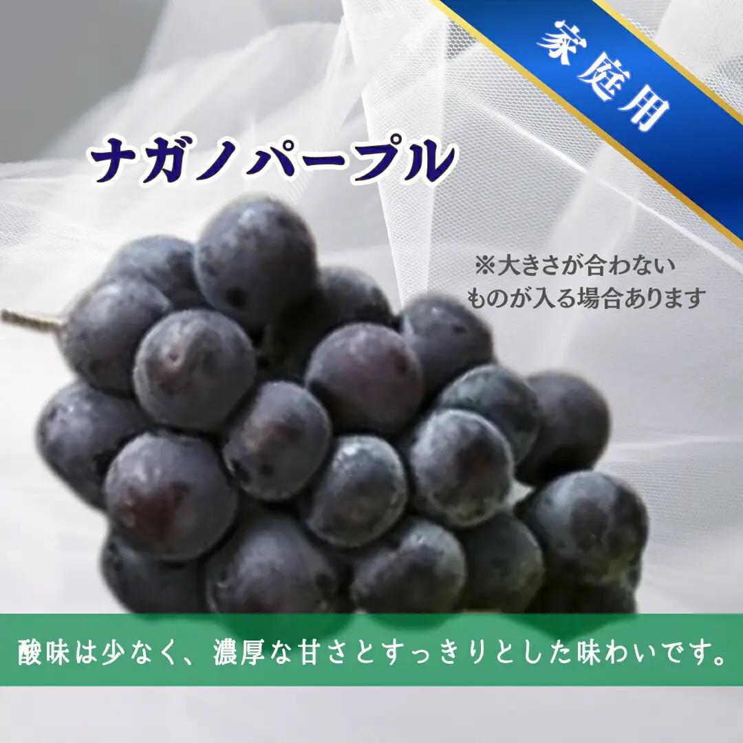 【2026年先行予約】ナガノパープル & シャインマスカット  家庭用 約2kg（3~5房）｜ ナガノパープル