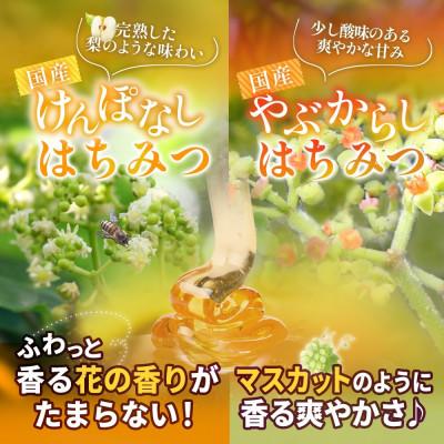 ふるさと納税 盛岡市 藤原国産蜂蜜 3種セット 計360g 完熟 単花蜜 藤原養蜂場 岩手県盛岡市 |  | 02
