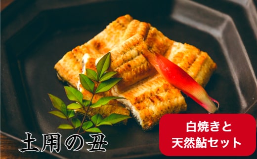 
										
										【土用丑の日（二の丑）：2024】予約受付中≪8月5日までにお届け≫田野町産うなぎの白焼き 2尾 × 天然鮎 4匹セット（冷凍） ウナギ 鰻 あゆ しらやき 国産 冷凍
									