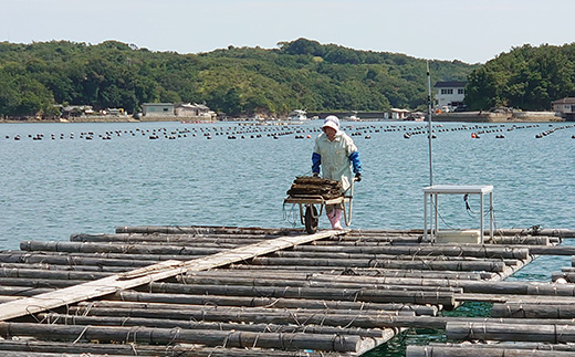 【030-74】akoya　カーブピアス（シルバーカラー）*