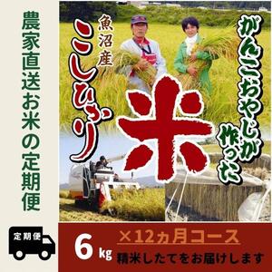 【令和７年産】12か月定期便　がんこおやじが作った南魚沼産コシヒカリ白米６kg（３kg×２袋）