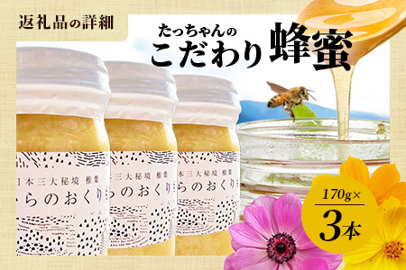 【無添加 非加熱】標高800m たっちゃんのこだわり蜂蜜【170g×3本】(送料無料 宮崎県 椎葉村 秘境 蜂蜜 はちみつ ハチミツ みつばち ミツバチ 伝統的 養蜂 国産 天然 百花蜜 巣箱 数量限