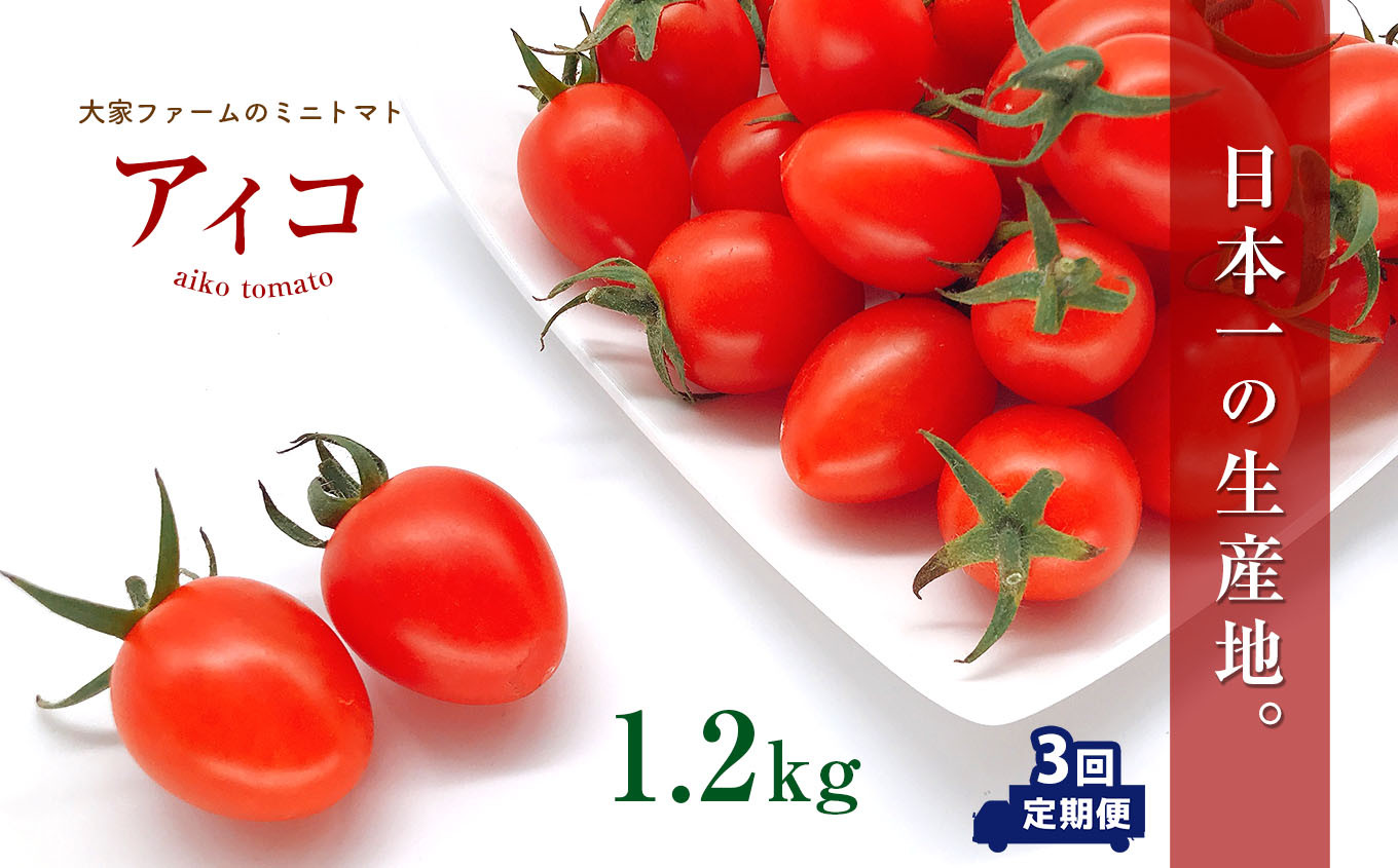 
【定期3回】『大家ファーム』のミニトマト アイコ 1.2kg×3回 ｜ 野菜 やさい とまと トマト ミニトマト アイコ 定期便 3回 熊本県 玉名市
