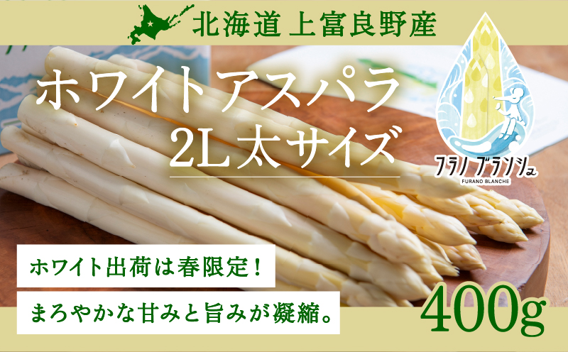 【令和8年産】先行予約  北海道 上富良野産 ホワイトアスパラガス 2L サイズ 400g アスパラ ホワイト アスパラガス 上富良野町 令和7年発送 野菜 やさい【オンライン決済限定】
