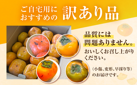 次郎柿 6.5kg 訳あり 豊橋石巻産 甘 柿