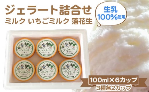 ジェラート詰合せ（ミルク/いちごミルク/落花生） ／ 生乳100％使用 素材 アイス 千葉県 No.146