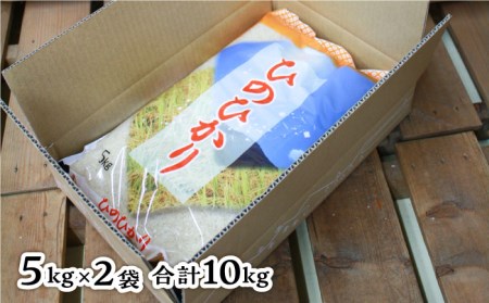  糸島産 ひのひかり 10kg 糸島市 / 三島商店 [AIM004] 米 白米