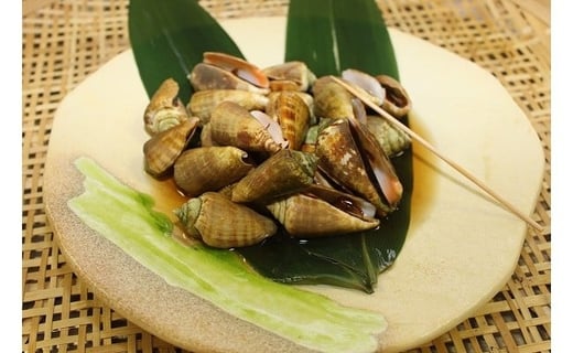 S250-2【高知名物】チャンバラ貝　1kg【季節限定・売り切れ次第終了】